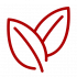 LogoFeuille1 LogoFeuille1